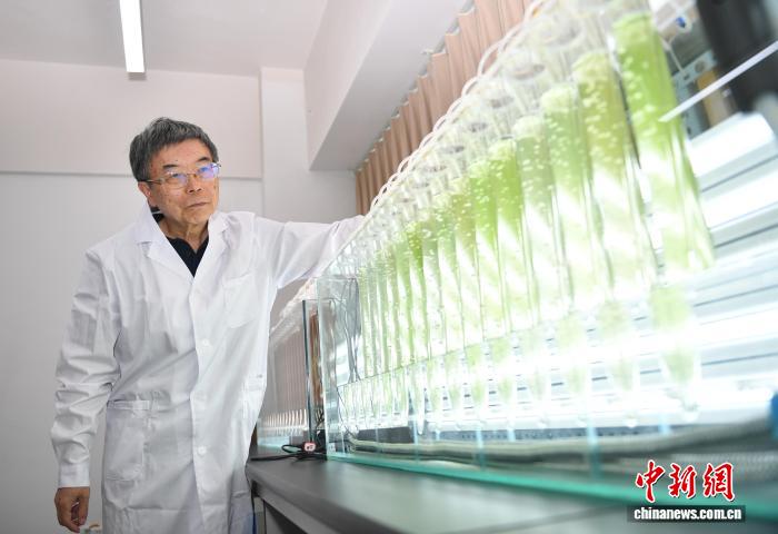 在高清流畅直播，身临其境感受赛场激情。方面，海星体育官网1提供贴心周到的支持。 - 海星体育官网1