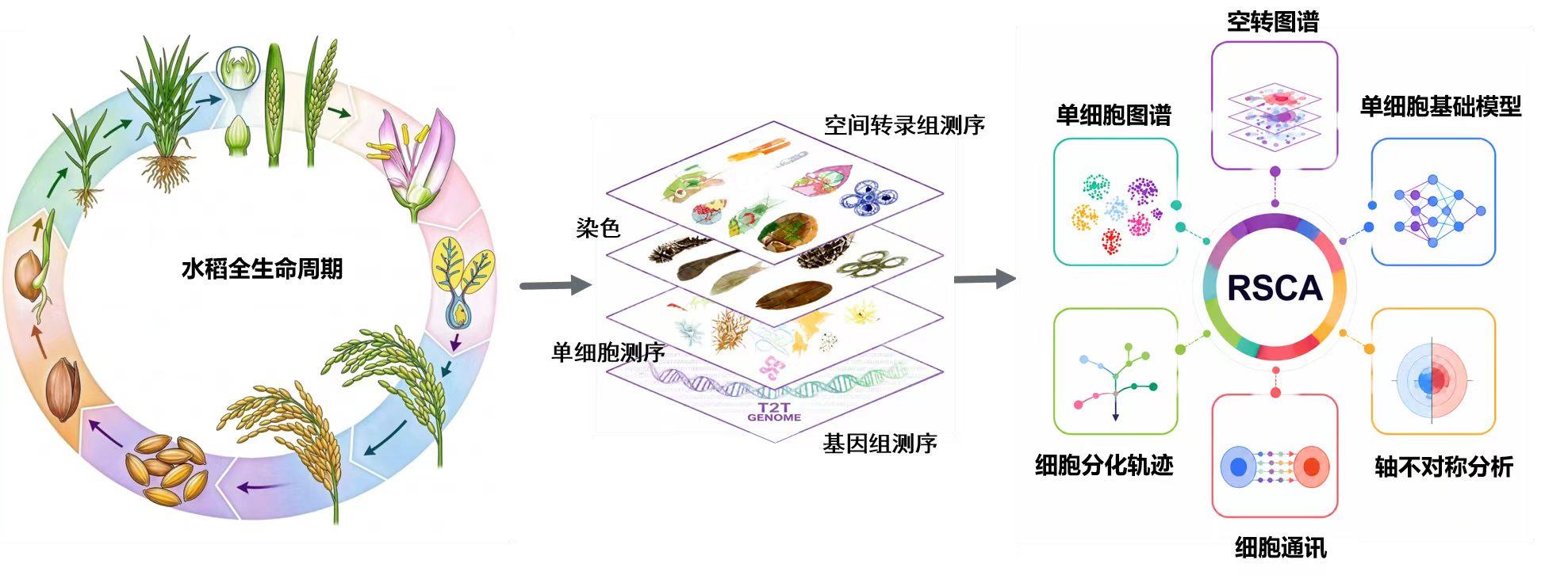 在高清流畅直播，身临其境感受赛场激情。方面，海星体育官网1提供贴心周到的支持。 - 海星体育官网1